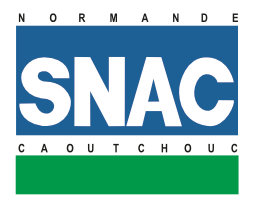 Logo SNAC 2024